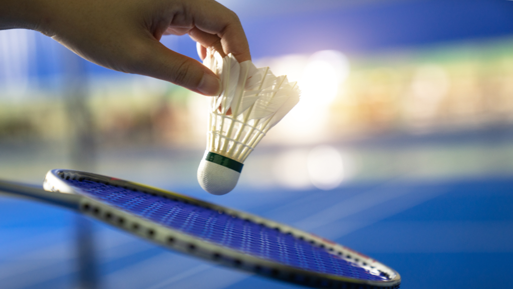 Raquette et volant de Badminton